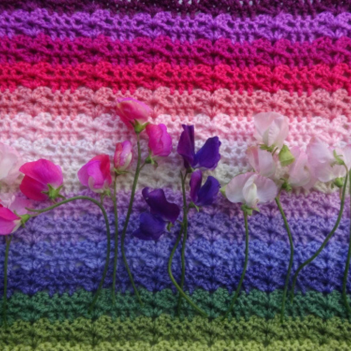Gratis haakpatroon - Sweet Pea