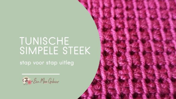 Tunische Simpele Steek