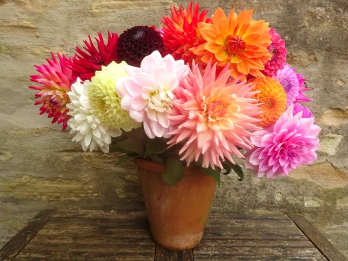 Gratis haakpatroon met videotutorial: Dahlia Deken 26 Dahlia deken Attic24 Introductie 29