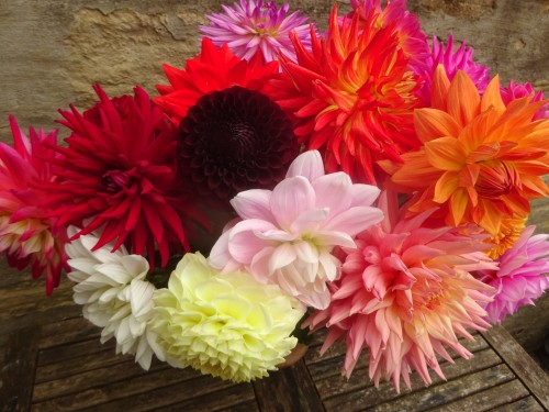 Gratis haakpatroon met videotutorial: Dahlia Deken 27 Dahlia deken Attic24 Introductie 30