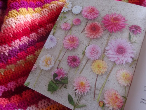Gratis haakpatroon met videotutorial: Dahlia Deken 7 Dahlia deken Attic24 Introductie 8