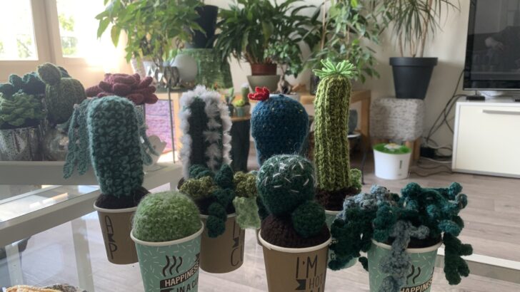 Plantjes