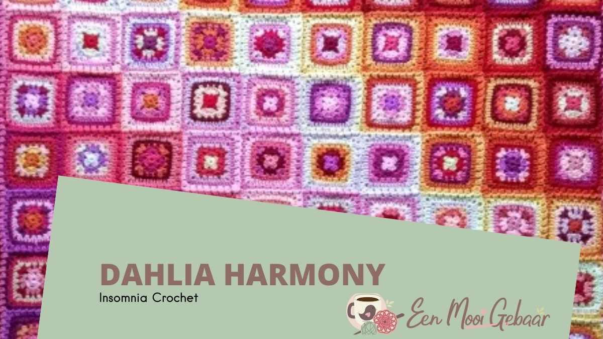 Dahlia Harmony