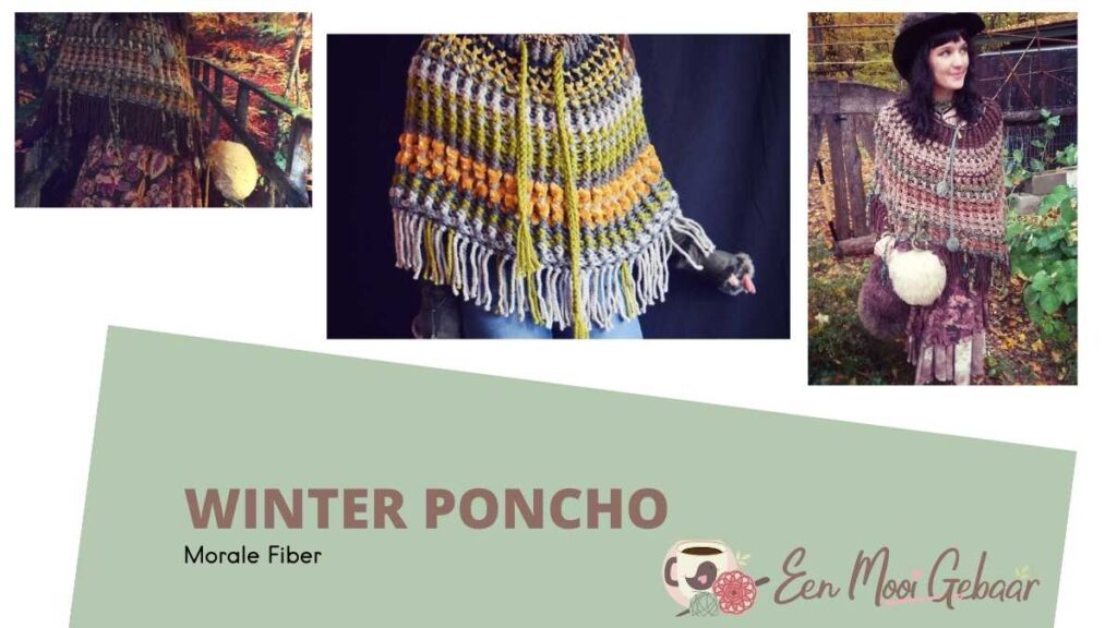 Omslagfoto Winter Poncho