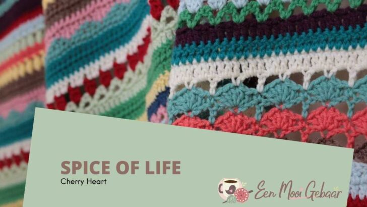 Spice of Life Crochet-Along