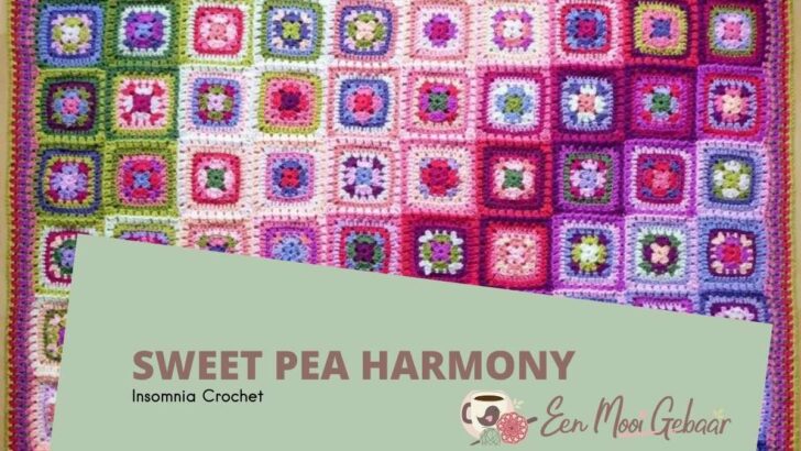 Sweet Pea Harmony