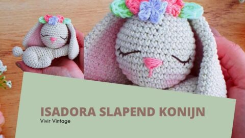 Isadora Slapend Konijn 2 Omslagfoto-Isadora-Slapend-Konijn