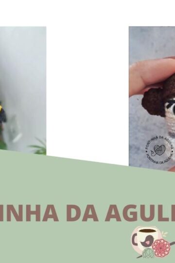 Pontinha Da Agulha 9 Omslagfoto-pontinha-da-agulha