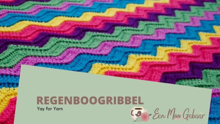 Regenboogribbel