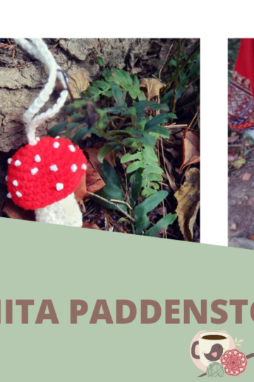 Amanita Paddenstoel Zakje 32 Omslagfoto-Amanita-Paddenstoel-Morale-Fiber