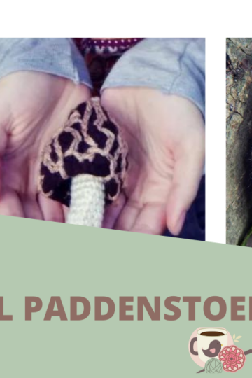 Morel Paddenstoel 9 Omslagfoto-Morel-Paddenstoel