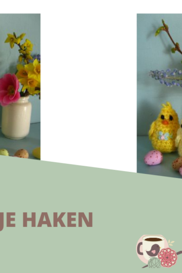 Kippetje haken 16 Omslagfoto-Kip-haken