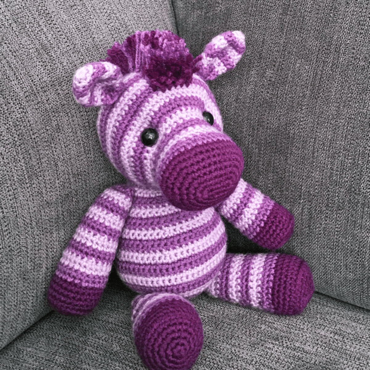 Zane de Zebra Haakpatroon