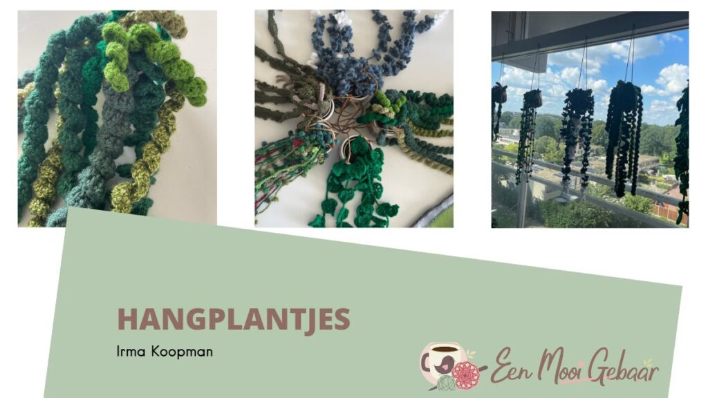 Top 10 April 2025 18 Irma Koopman hangplantjes Omslagfoto