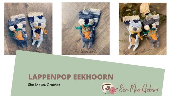 Lappenpop Eekhoorn