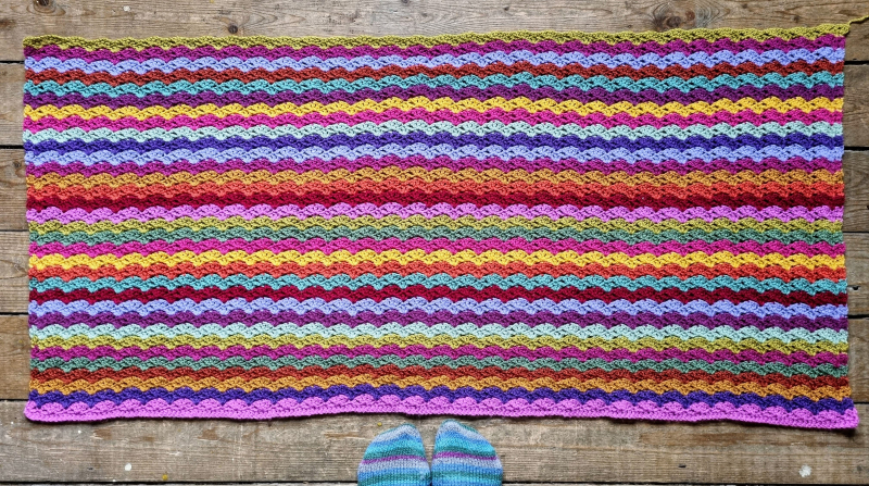 Sungold Week 2 14 Sungold Week 2 13