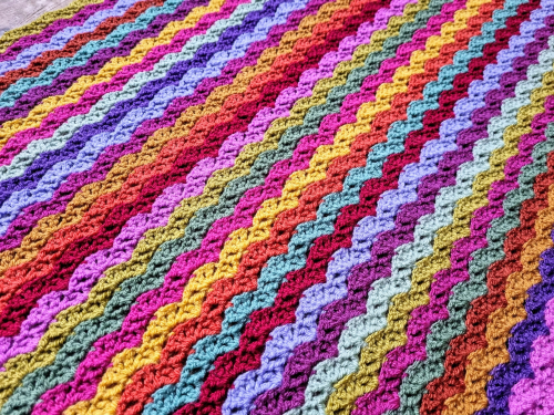 Sungold Week 2 15 Sungold Week 2 14