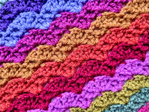 Sungold Week 2 16 Sungold Week 2 15