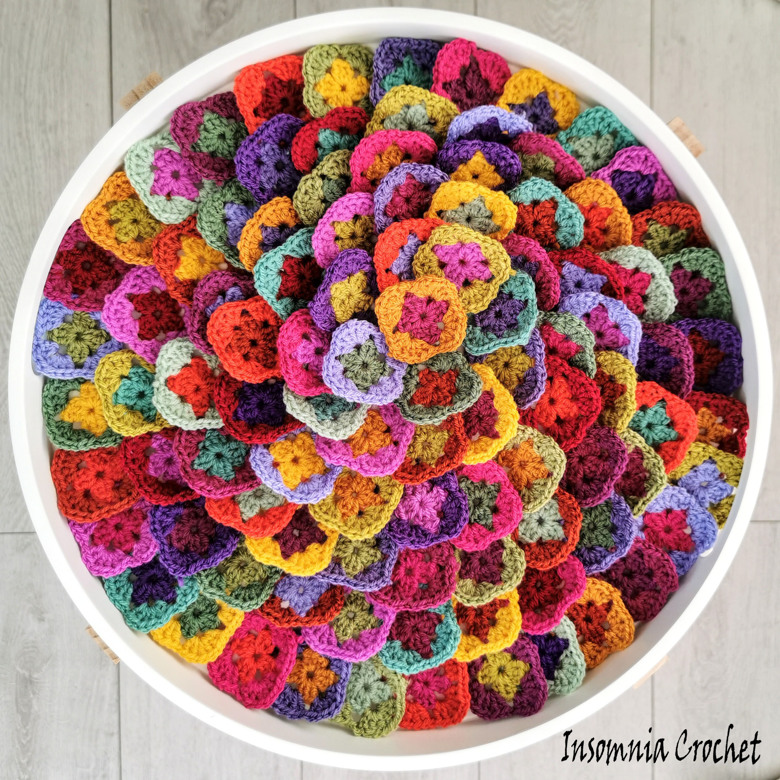 Sungold Week 2 22 Sungold Week 2 20