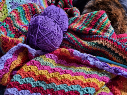 Sungold Week 2 7 Sungold Week 2 7