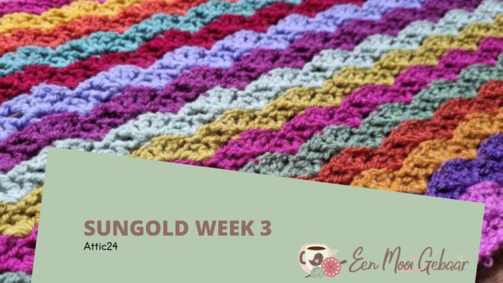 Sungold – Week 3