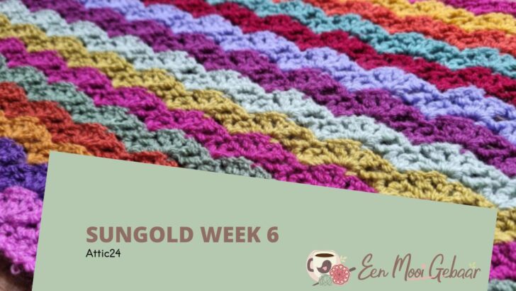 Sungold – Week 6