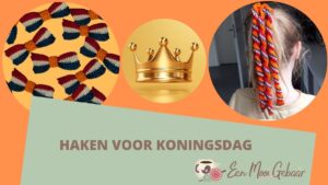 Omslagfoto Haken voor Koningsdag