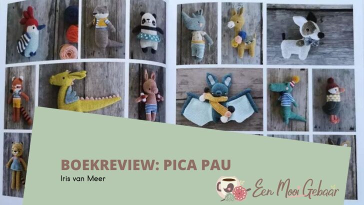 Haakboek review: Pica Pau 1