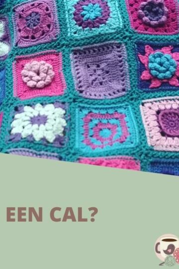 Wat is een CAL? 73 Wat is een CAL