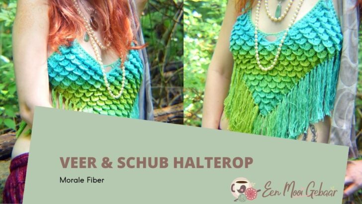 Veer & Schub Haltertop Haakpatroon