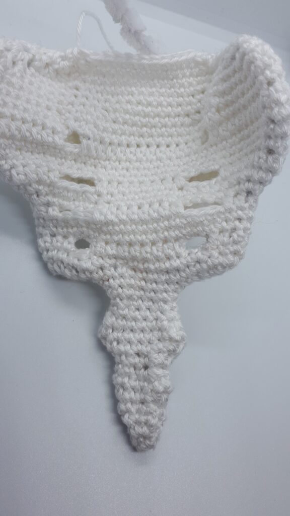 Heiligbeen en stuitbeen 10