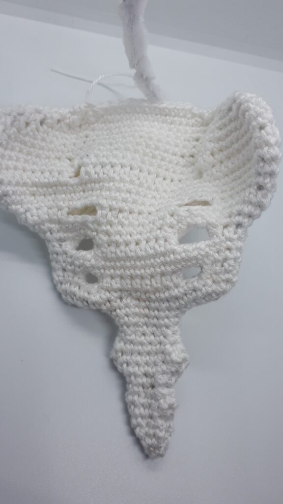 Heiligbeen en stuitbeen 11