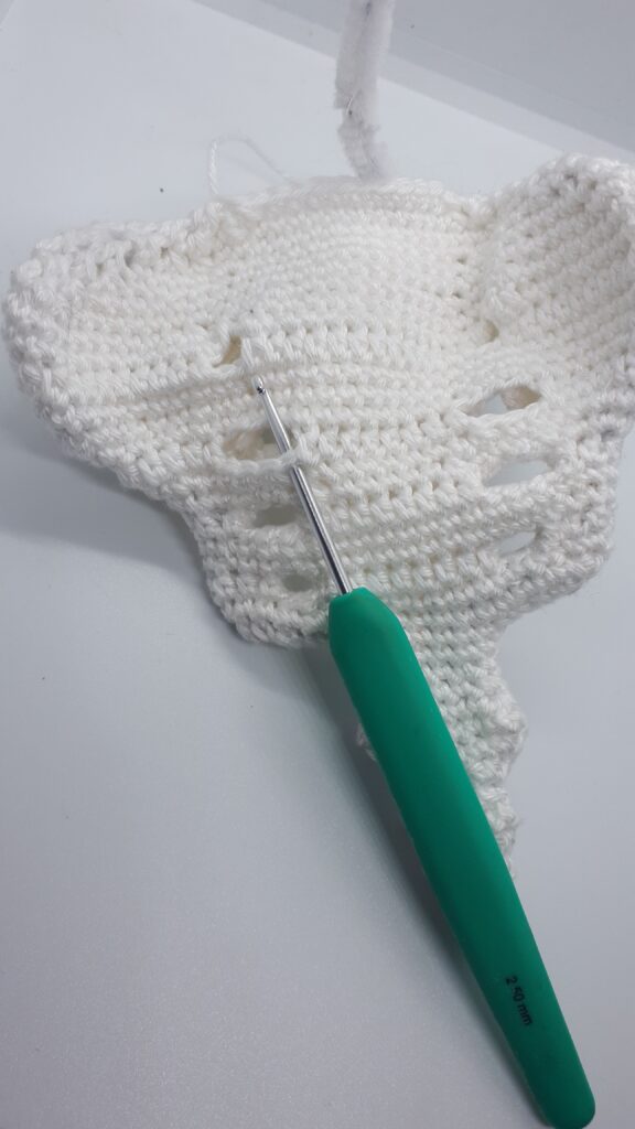 Heiligbeen en stuitbeen 12