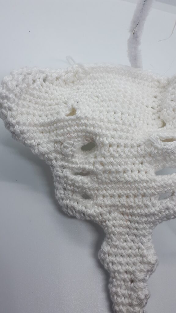 Heiligbeen en stuitbeen 14