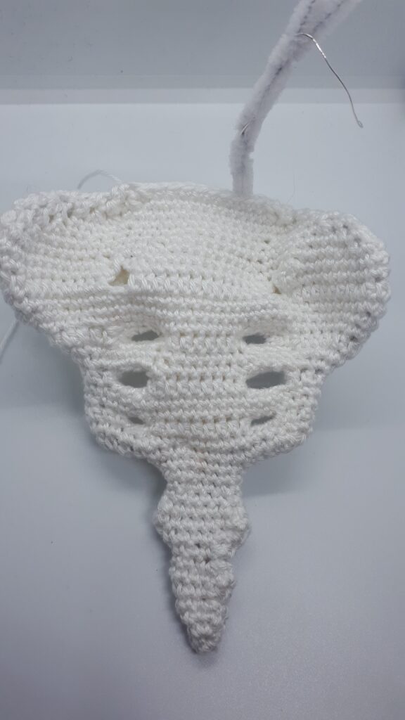 Heiligbeen en stuitbeen 15