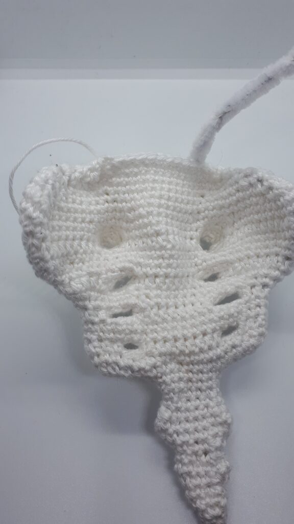 Heiligbeen en stuitbeen 17