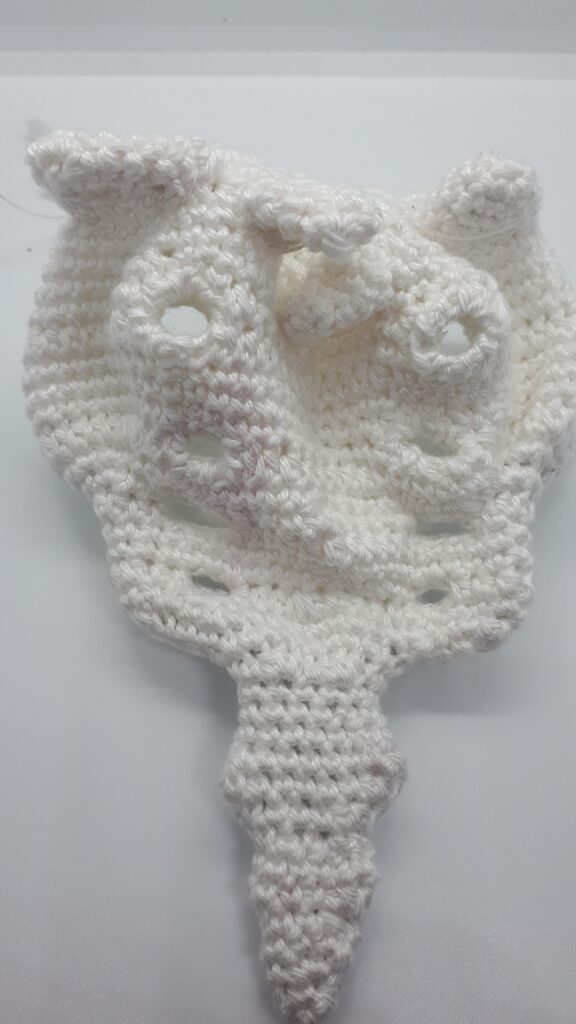 Heiligbeen en stuitbeen 19