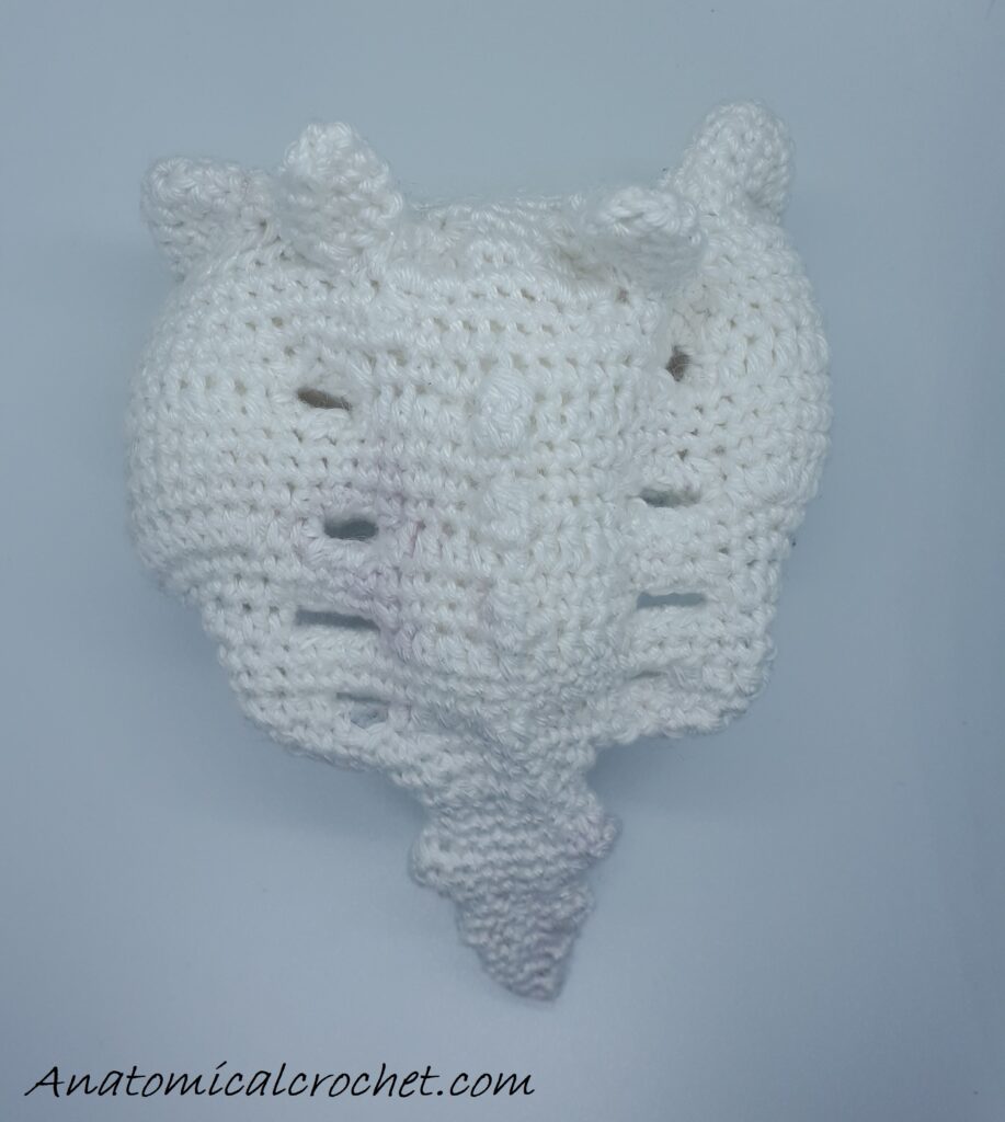 Heiligbeen en stuitbeen