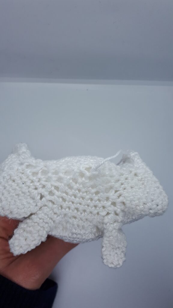 Heiligbeen en stuitbeen 20