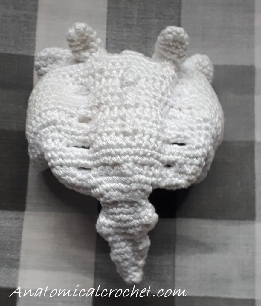 Heiligbeen en stuitbeen 23