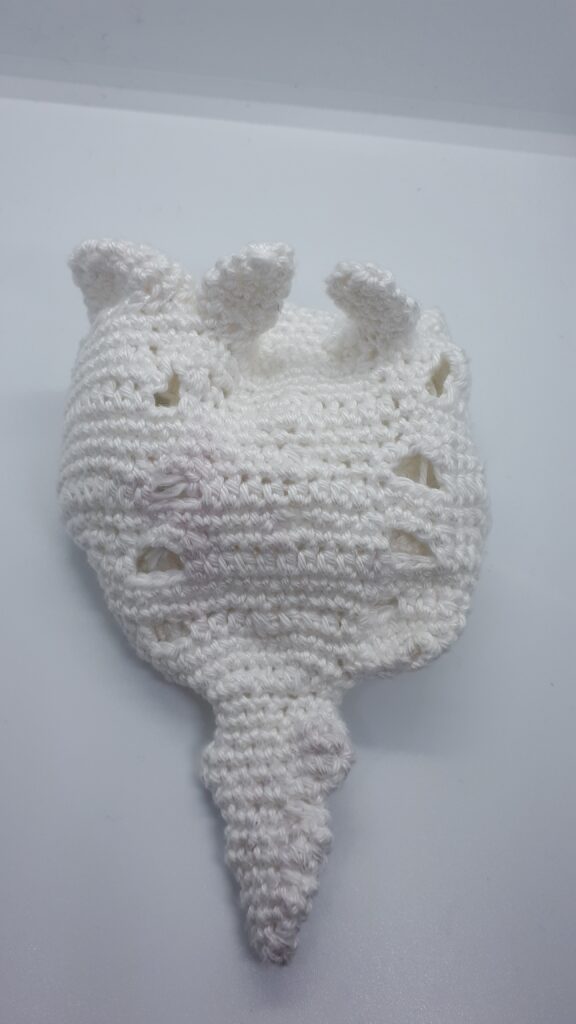 Heiligbeen en stuitbeen 4