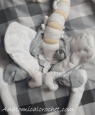 Heup in elkaar zetten 1