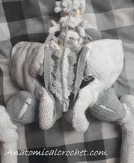 Heup in elkaar zetten 103