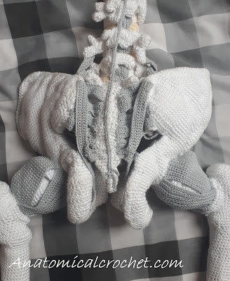 Heup in elkaar zetten 2