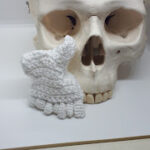 Anatomical Crochet 1 Schedel-deel-3-60