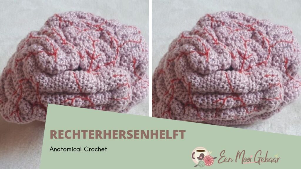 Anatomical Crochet Rechterhersenhelft Omslagfoto