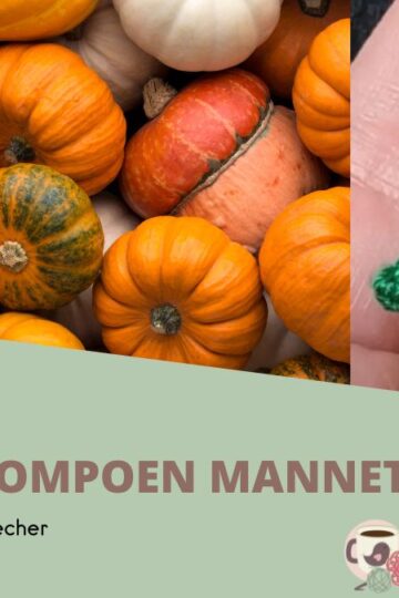 Mini Pompoen Mannetje 26 Connis-Hakelviecher-Mini-Pompoen-Mannetje-omslagfoto-1