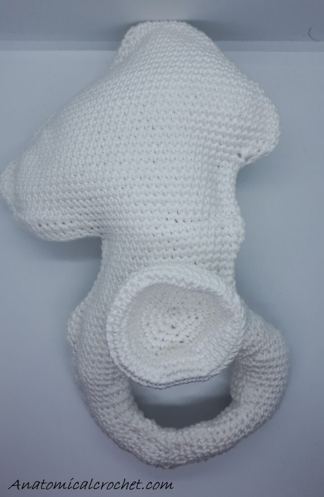 Heup haken 2 Heup haken 2