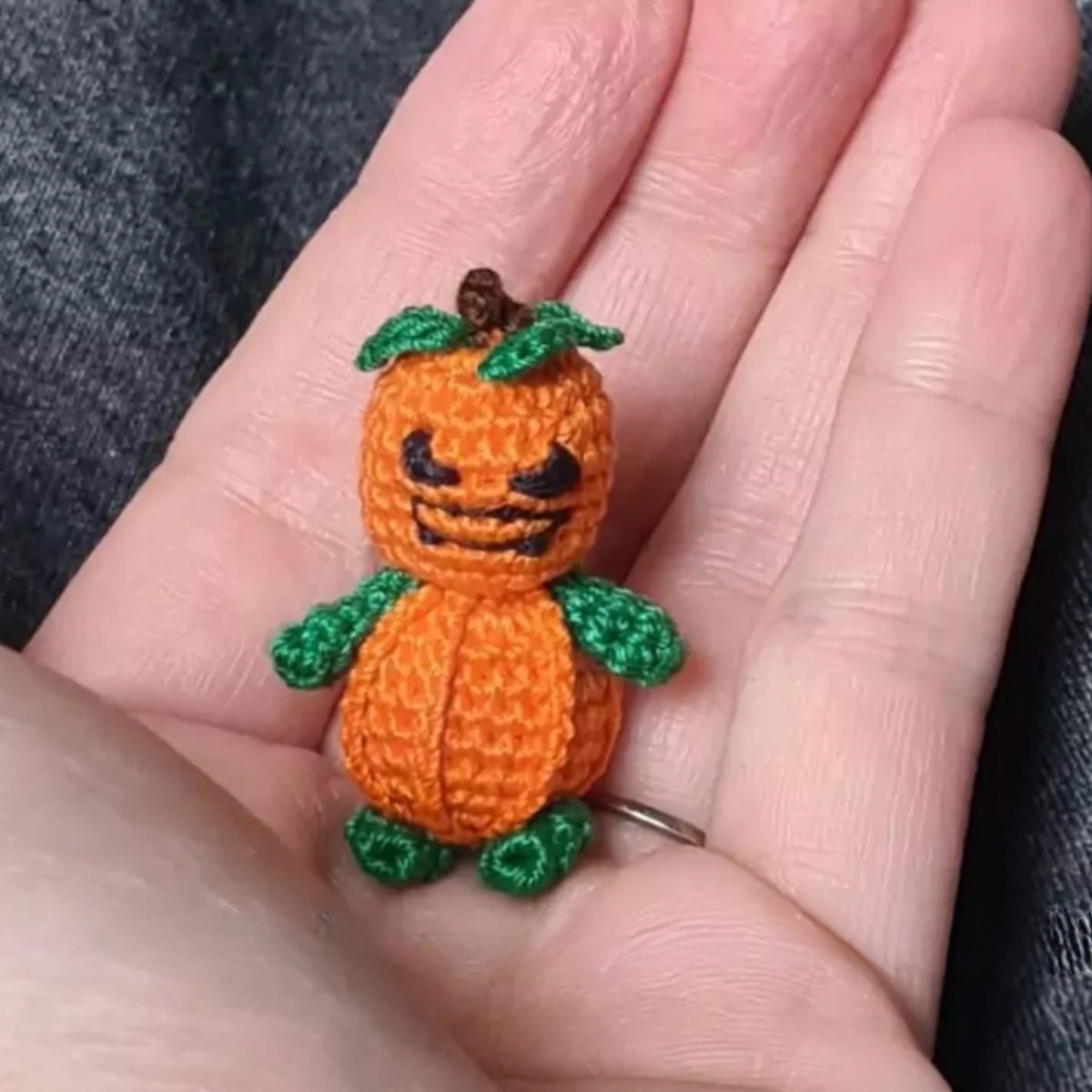 Mini Pompoen Mannetje