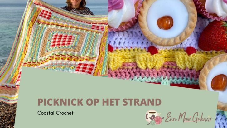 Picknick op het strand – Week 8